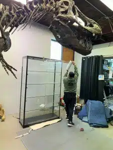 Top town movers commercial