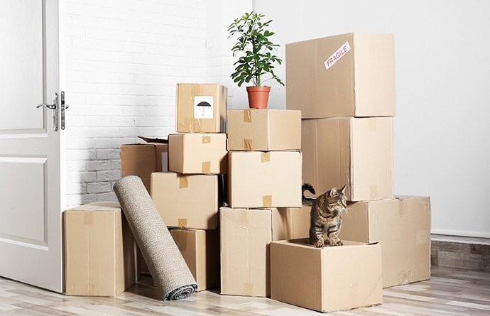 BEST for Moving and Packing